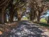 381 Myalla Road, Myalla, Tas 7325-Image