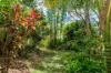 382 Old Byron Bay Road, Newrybar, NSW 2479-Image