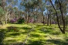 382  Specimen Gully Road, Faraday, Vic 3451-Image