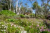 382  Specimen Gully Road, Faraday, Vic 3451-Image