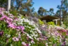 382  Specimen Gully Road, Faraday, Vic 3451-Image
