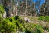 382  Specimen Gully Road, Faraday, Vic 3451-Image