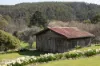 38259 Tasman Highway, Targa, Tas 7259-Image