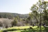38259 Tasman Highway, Targa, Tas 7259-Image