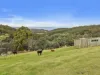 384 Saddle Road, Kettering, Tas 7155-Image