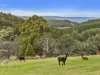 384 Saddle Road, Kettering, Tas 7155-Image