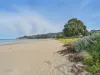 385 Brightwater Road, Howden, Tas 7054-Image