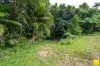 385 Stager Road, Mirriwinni, Qld 4871-Image