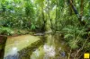 385 Stager Road, Mirriwinni, Qld 4871-Image