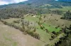 3852 Jingellic Road, Lankeys Creek, NSW 2644-Image