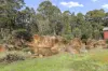 386 Pipers River Road, Turners Marsh, Tas 7267-Image