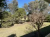 3862 Princes Highway, Coila, NSW 2537-Image