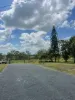 387 Ambrose Bracewell Road, Ambrose, Qld 4695-Image