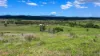 387 Ambrose Bracewell Road, Ambrose, Qld 4695-Image