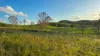 387 Ambrose Bracewell Road, Ambrose, Qld 4695-Image