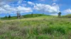 387 Ambrose Bracewell Road, Ambrose, Qld 4695-Image