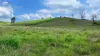 387 Ambrose Bracewell Road, Ambrose, Qld 4695-Image