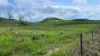 387 Ambrose Bracewell Road, Ambrose, Qld 4695-Image