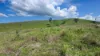 387 Ambrose Bracewell Road, Ambrose, Qld 4695-Image