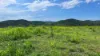 387 Ambrose Bracewell Road, Ambrose, Qld 4695-Image