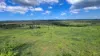 387 Ambrose Bracewell Road, Ambrose, Qld 4695-Image