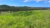 387 Ambrose Bracewell Road, Ambrose, Qld 4695-Image