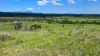 387 Ambrose Bracewell Road, Ambrose, Qld 4695-Image