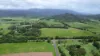 387 Mossman Daintree Road, Newell, Qld 4873