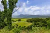 387 Mossman Daintree Road, Newell, Qld 4873-Image