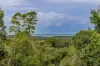 387 Mossman Daintree Road, Newell, Qld 4873-Image