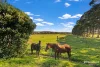 388 Hunwick South Road, Torbay, WA 6330-Image