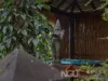 388 Mount Crosby Road, Chuwar, Qld 4306-Image