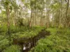 389 Wirrimbi Rd, Newee Creek, NSW 2447-Image