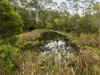 389 Wirrimbi Rd, Newee Creek, NSW 2447-Image