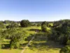 389 Wirrimbi Rd, Newee Creek, NSW 2447-Image