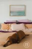 38B Burroughs Road, Karrinyup, WA 6018-Image