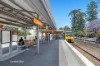 38B Malton Road, Beecroft, NSW 2119-Image