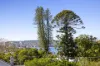 38B White Street, Balgowlah, NSW 2093