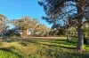 39 Albert Street, Crows Nest, Qld 4355-Image