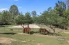 39 Arborone Road, Glenwood, Qld 4570-Image