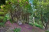 39 Barbers Road, Kalorama, Vic 3766-Image
