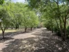 39 Bendygleet Road, Moree, NSW 2400-Image