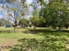 39 Bendygleet Road, Moree, NSW 2400-Image