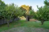 39 Bishop Street, New Town, Tas 7008-Image