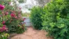 39 Bougainvilia Avenue, East Side, NT 0870-Image