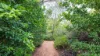 39 Bougainvilia Avenue, East Side, NT 0870-Image