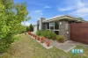 39 Bradford Avenue, Prospect Vale, Tas 7250-Image