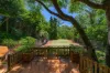 39 Cedarleigh Road, Kenmore, Qld 4069-Image