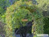 39 Chestnut Avenue, Armidale, NSW 2350-Image