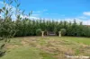 39 Cornhill Parkway, Donnybrook, Vic 3064-Image